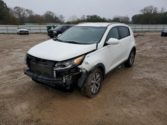 Image 1 of 2016 KIA SPORTAGE LX 2016 with VIN KNDPB3AC5G7844412