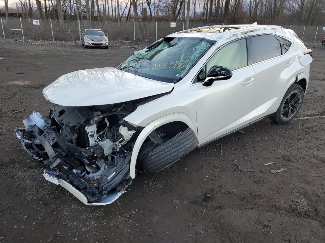 Obraz 2020 LEXUS NX 300 2020
