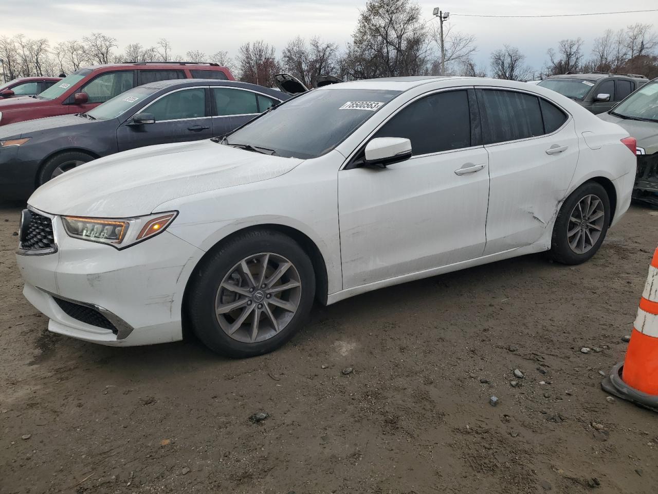 Изображение 2019 ACURA TLX TECHNOLOGY 2019