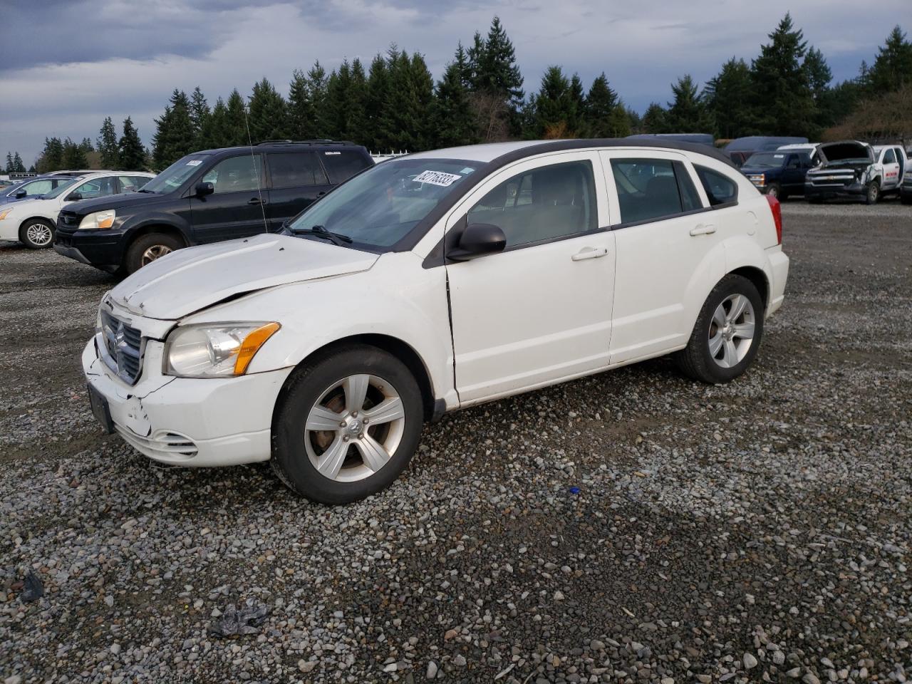 Obraz 2010 DODGE CALIBER SXT 2010