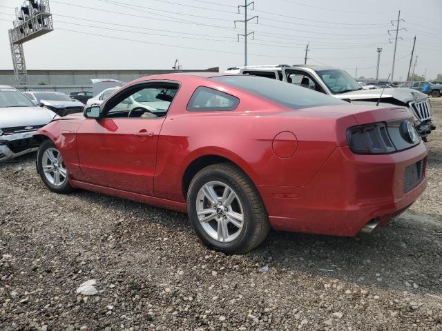 Изображение 2 2013 FORD MUSTANG  2013 с VIN 1ZVBP8AMXD5278642
