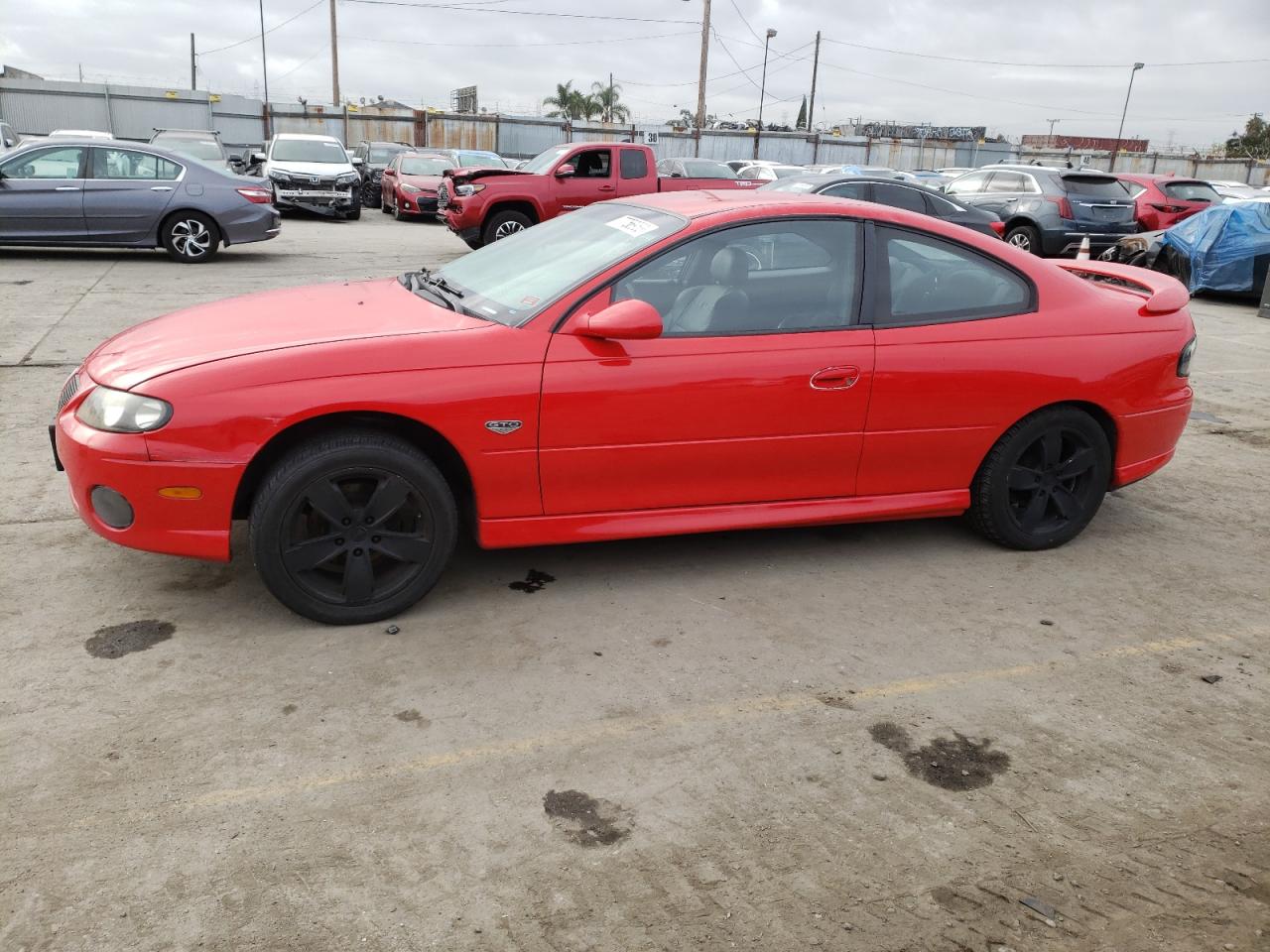 Obraz 1 z 2004 PONTIAC GTO  2004 z VIN 6G2VX12G64L206467