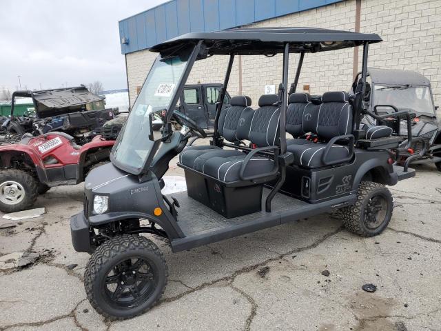 Image 2 of 2020 GOLF CART 2020 with VIN 5FCDD13D8M2001326