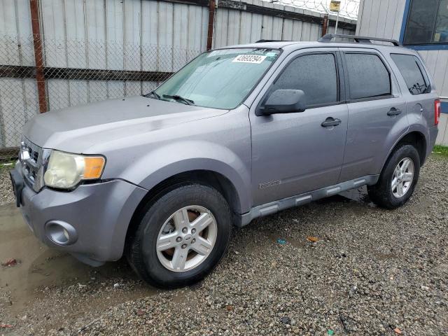 2008 FORD ESCAPE HEV 2008 image