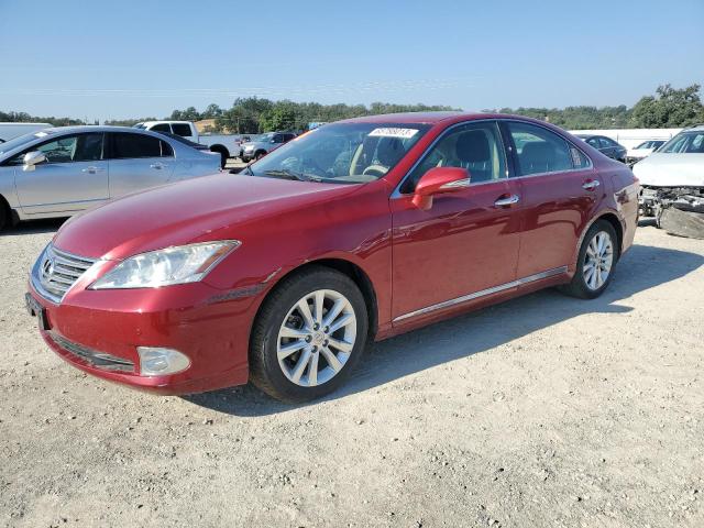 Obraz 2011 LEXUS ES 350 2011