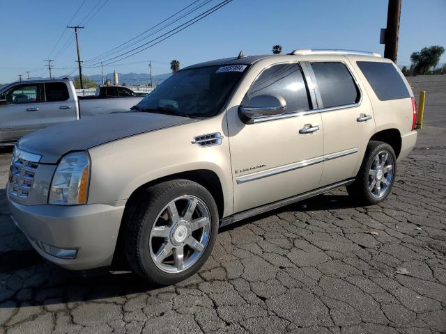 2007 CADILLAC ESCALADE LUXURY 2007 image