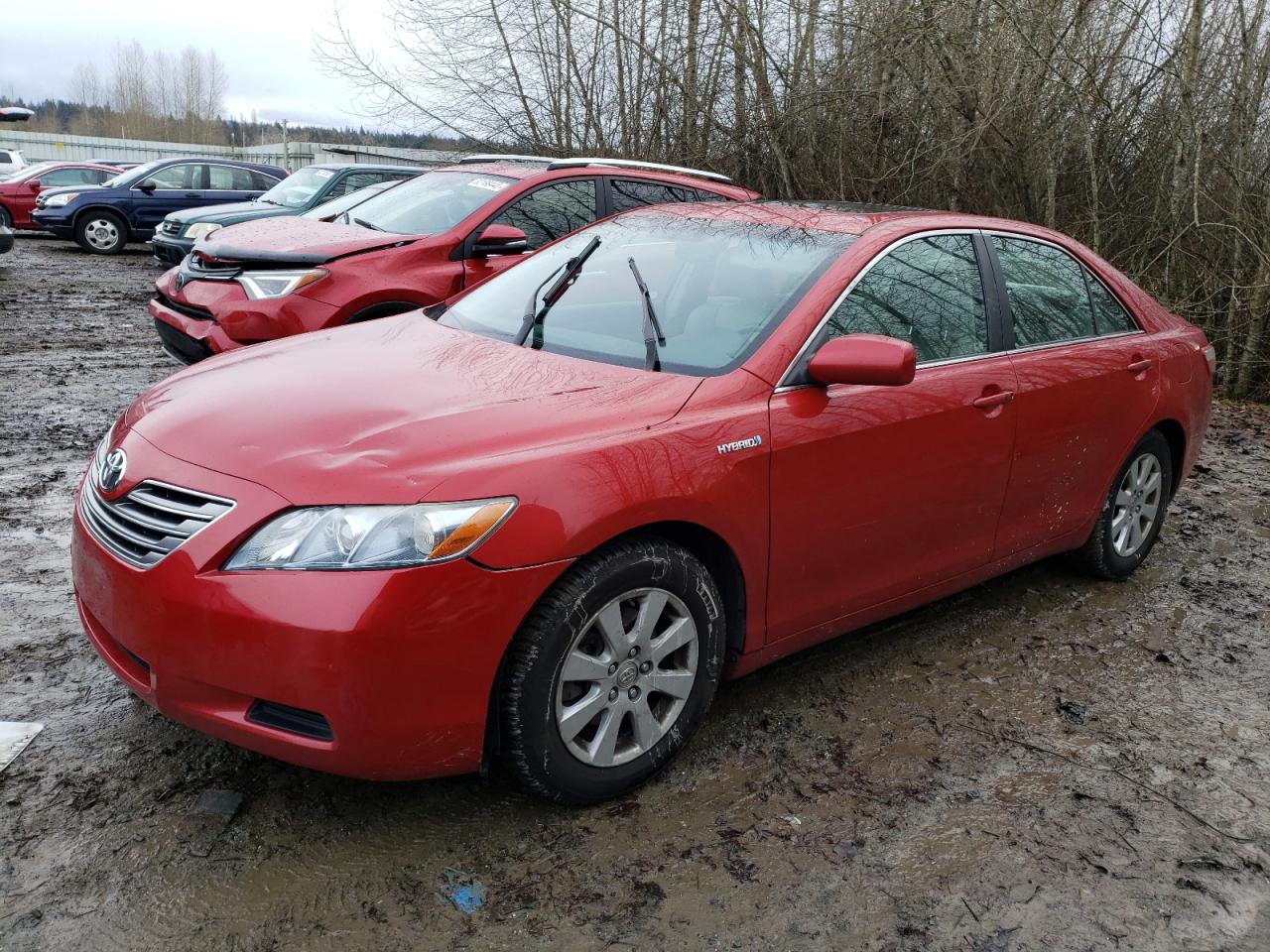2009 TOYOTA CAMRY HYBRID 2009 image