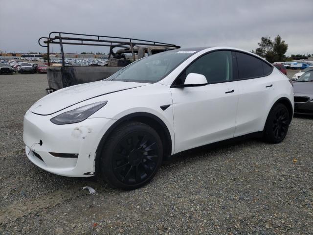 2023 TESLA MODEL Y  2023 image