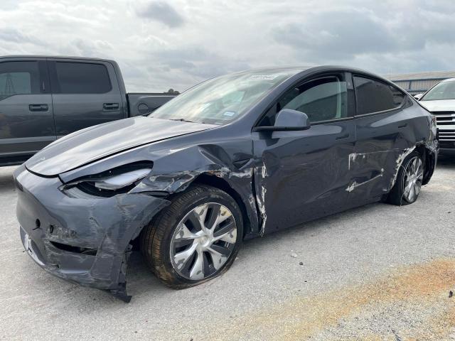 2023 TESLA MODEL Y  2023 image