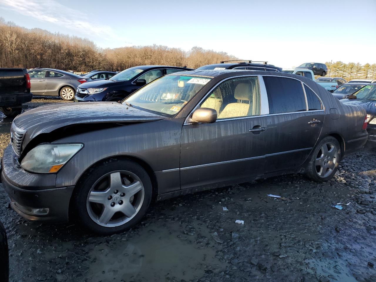 Obraz 2006 LEXUS LS 430 2006