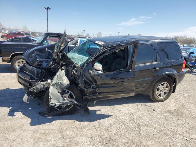 Obraz 2004 FORD ESCAPE LIMITED 2004