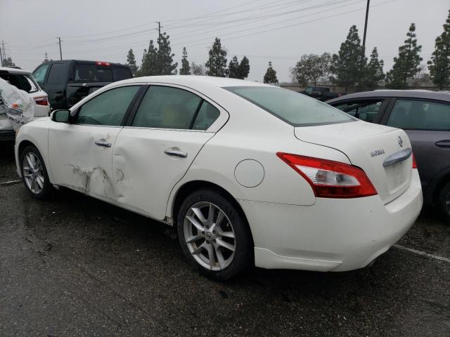 Image 2 of 2009 NISSAN MAXIMA S 2009 with VIN 1N4AA51E19C849628