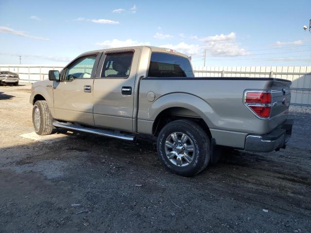 Obraz 2 z 2010 FORD F150 SUPERCREW 2010 z VIN 1FTFW1EV7AFC47887