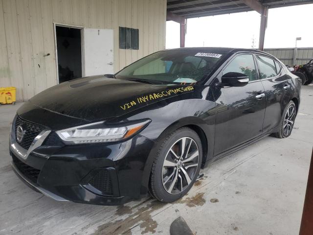 Изображение 2021 NISSAN MAXIMA SV 2021
