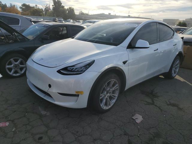 2022 TESLA MODEL Y  2022 image