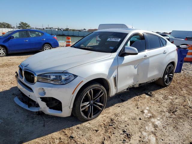 2018 BMW X6 M 2018 image