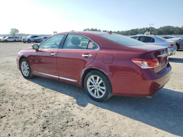 Image 2 of 2011 LEXUS ES 350 2011 with VIN JTHBK1EG0B2442782