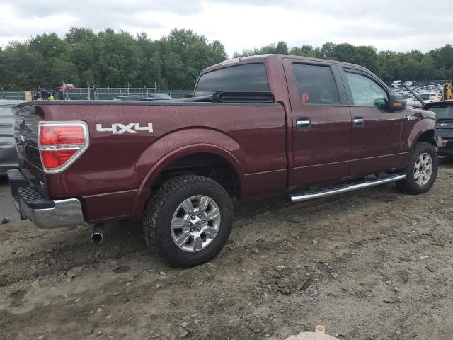 Image 3 of 2010 FORD F150 SUPERCREW 2010 with VIN 1FTFW1EV3AFD70716