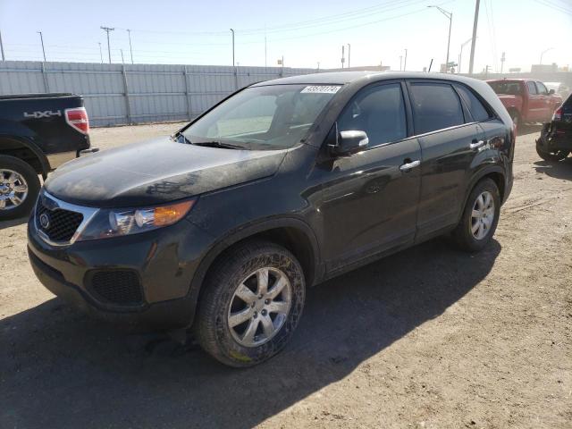 2013 KIA SORENTO LX 2013 image