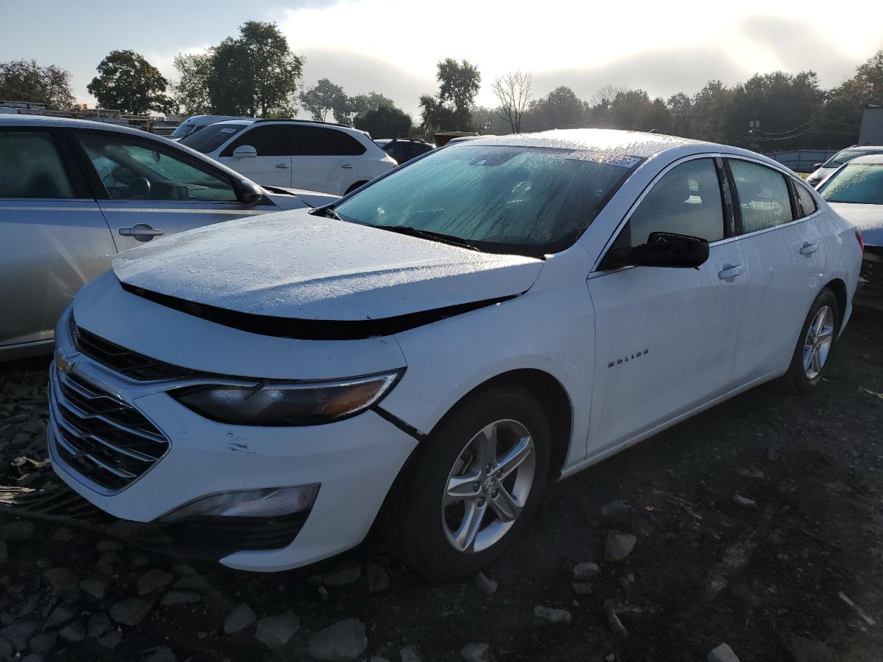 Image 1 of 2023 CHEVROLET MALIBU LT 2023 with VIN 1G1ZD5ST4PF230267