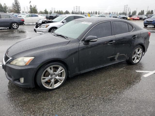 2010 LEXUS IS 250 2010 image