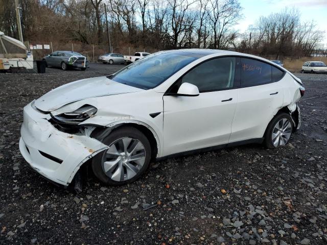 Obraz 2023 TESLA MODEL Y  2023