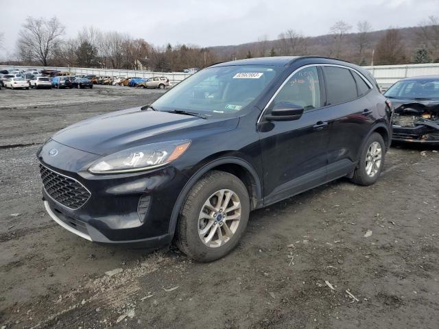 2020 FORD ESCAPE SE 2020 image
