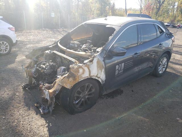 Изображение 1 2020 FORD ESCAPE SE 2020 с VIN 1FMCU9G64LUB72542