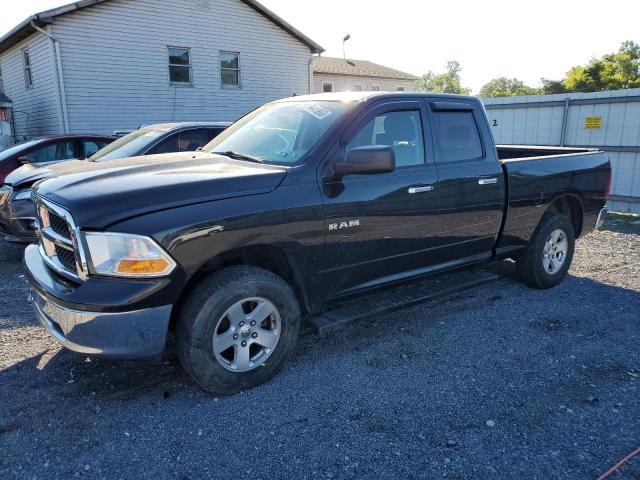 2010 DODGE RAM 1500  2010 image