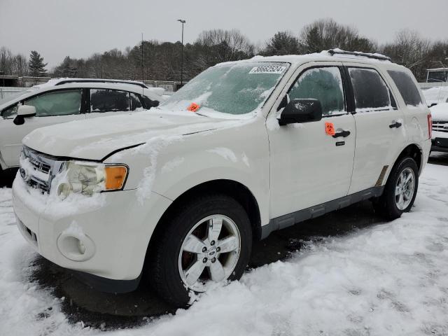 Obraz 2011 FORD ESCAPE XLT 2011