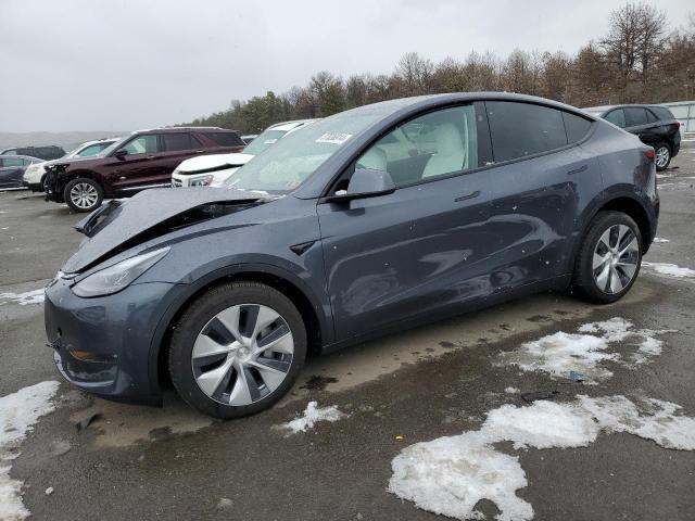 2023 TESLA MODEL Y  2023 image