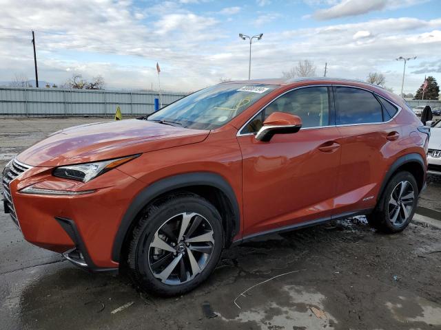 Obraz 2021 LEXUS NX 300H BASE 2021