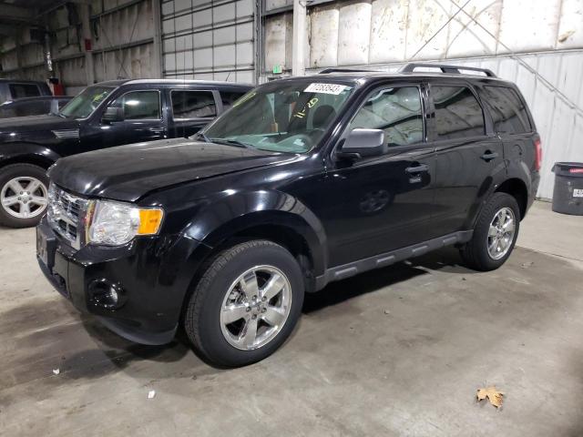 2012 FORD ESCAPE XLT 2012 image