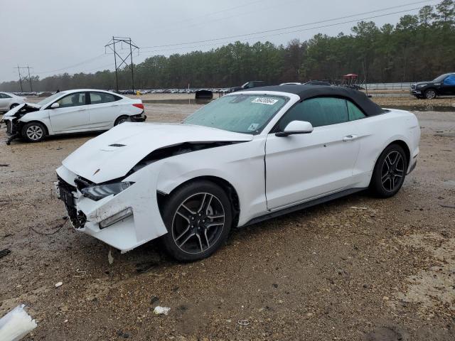 2021 FORD MUSTANG  2021 image