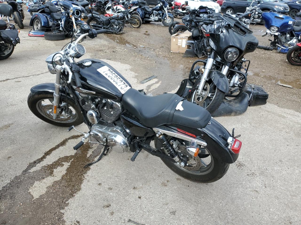 Image 3 of 2016 HARLEY-DAVIDSON XL1200 C 2016 with VIN 1HD1CT316GC437395