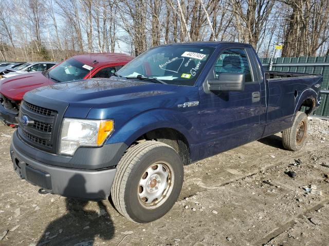 Obraz 2013 FORD F150  2013