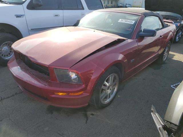 Obraz 1 z 2005 FORD MUSTANG GT 2005 z VIN 1ZVFT85H055198052