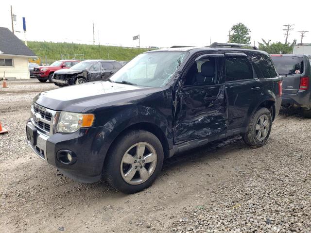 Obraz 2010 FORD ESCAPE LIMITED 2010
