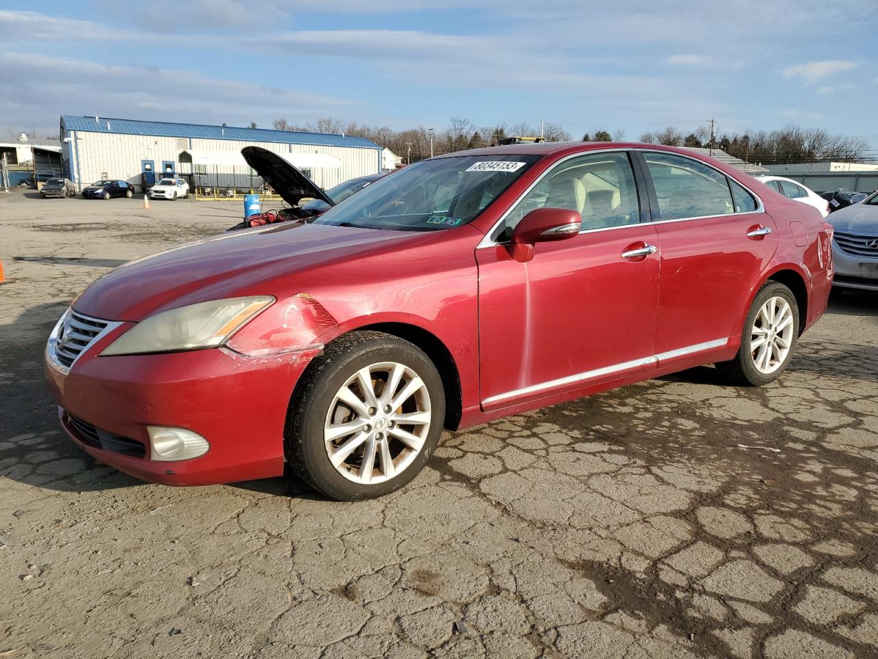 Изображение 2010 LEXUS ES 350 2010