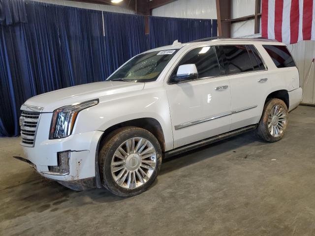 2017 CADILLAC ESCALADE PLATINUM 2017 image