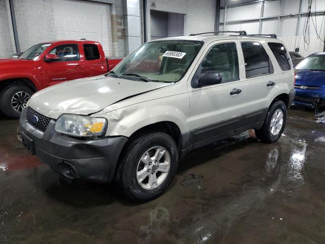 2005 FORD ESCAPE XLT 2005 image
