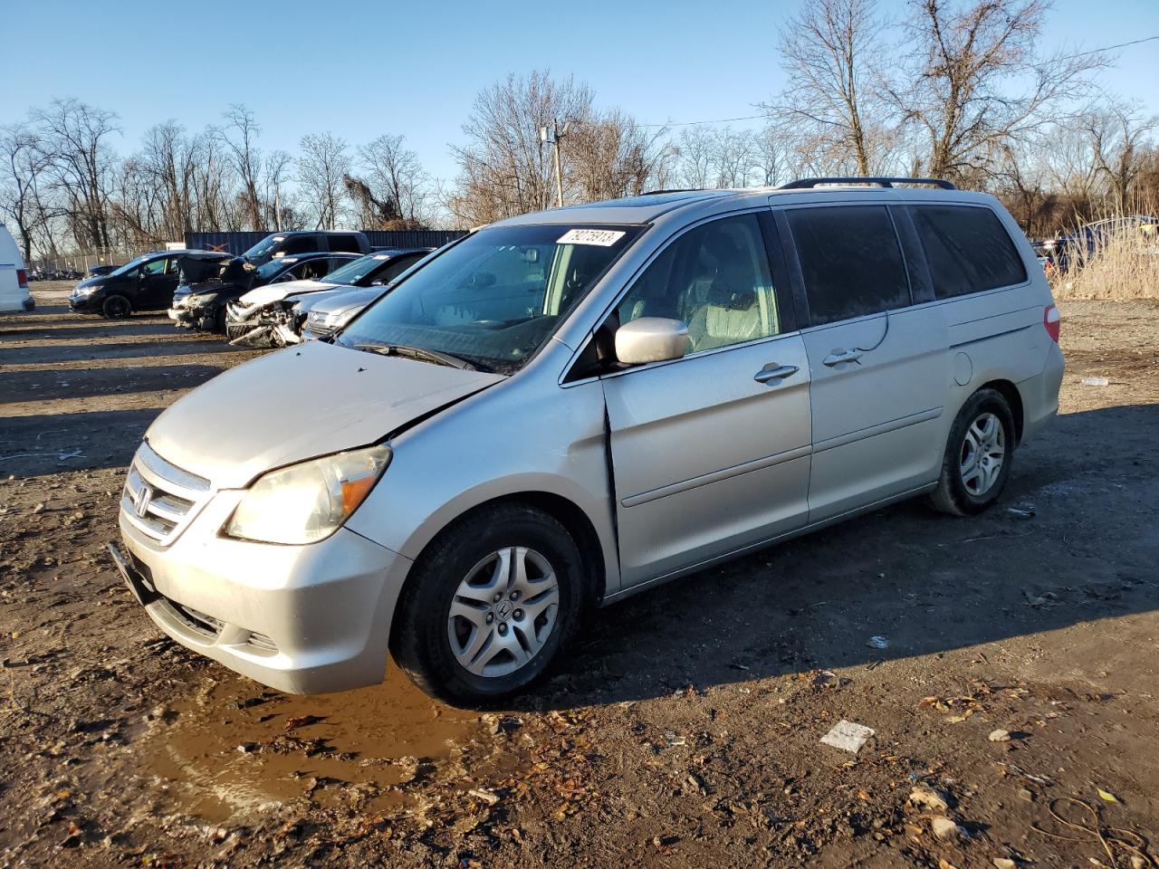 2007 HONDA ODYSSEY EXL 2007 image