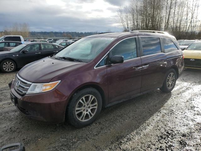 2013 HONDA ODYSSEY EXL 2013 image
