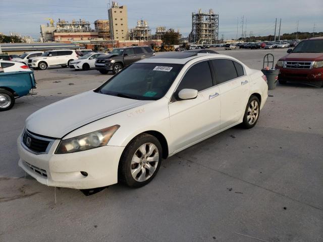 Изображение 1 2008 HONDA ACCORD EXL 2008 с VIN 1HGCP368X8A005771