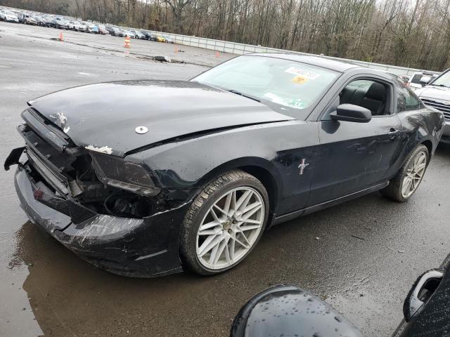 Obraz 1 z 2014 FORD MUSTANG  2014 z VIN 1ZVBP8AM3E5206604