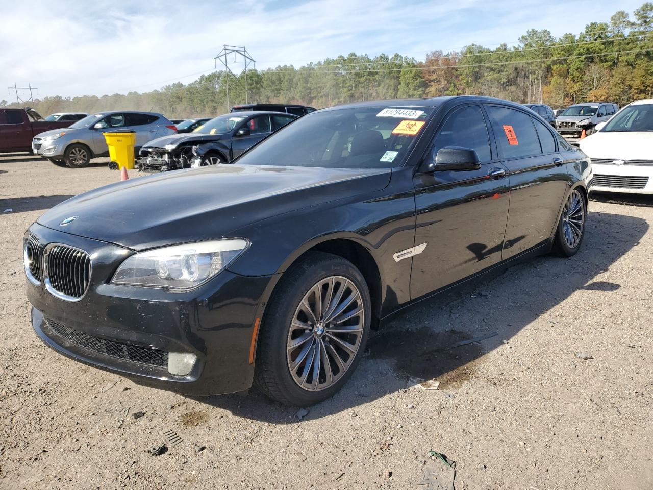 Obraz 2011 BMW 750 LI 2011