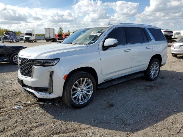 Obraz 2023 CADILLAC ESCALADE PREMIUM LUXURY 2023