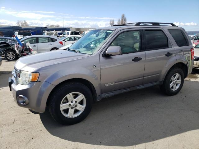2008 FORD ESCAPE HEV 2008 image