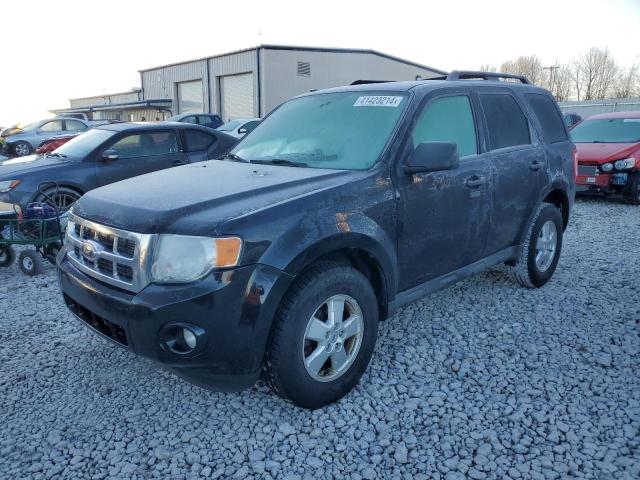 Obraz 2009 FORD ESCAPE XLT 2009