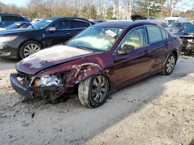 2008 HONDA ACCORD EX 2008 image